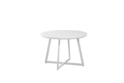 Modern Wholesale Home Dining Kitchen Banquet Furniture MDF Top Metal Steel Dining Table