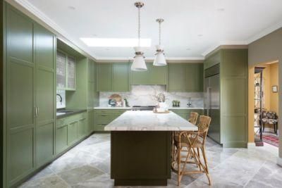 Fashionable Light Green Shaker Cabinet for Kitchen Pantry with Island Sydney Cabinets