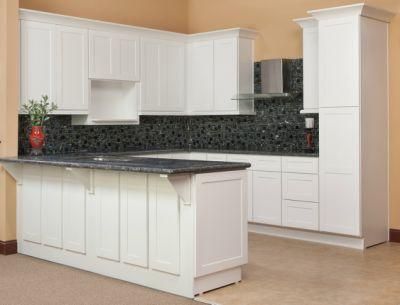 Apartment Kitchen Cabinets White Shaker Solid Wood Cabinets Soft Close in Standard Size