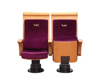 VIP Lecture Hall Cinema Auditorium Church Stadium Chair