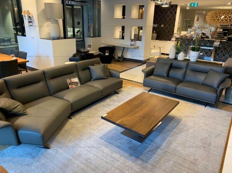 Hot Selling Living Room Furniture Sectional Sofa Furniture with Genuine Leather Sofa Furniture Set