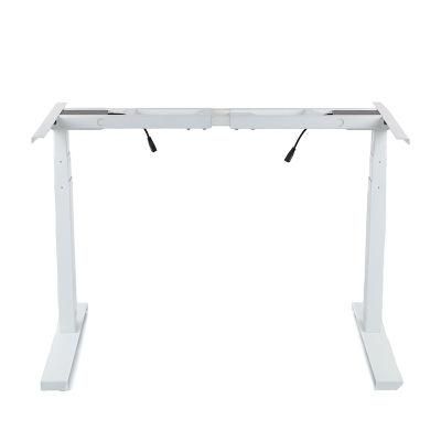 Manufacturer High-End Ergonomic Electric Sit Standing Desk with TUV Certificated