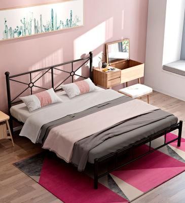 European Style Iron Bed Simple Modern Ins Net Red Princess Single Double Iron Bed Iron Bed
