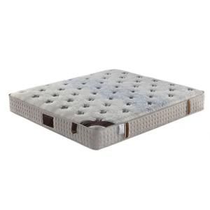 Factory Price Latex Sponge Mattress Used for Modern Bed for Hotel