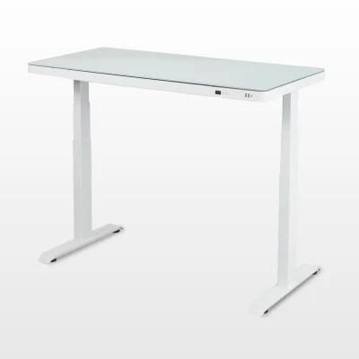 Compact and Clever Design Metal Desk Only for B2b