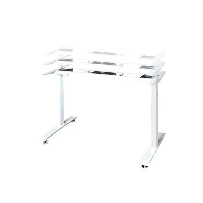 Sit Stand up Dual Motors Electric Ergonomic Adjust Height Standing Desk Frame