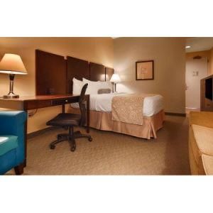 Hotel Fancy Living Designer Room Furniture for Best Western