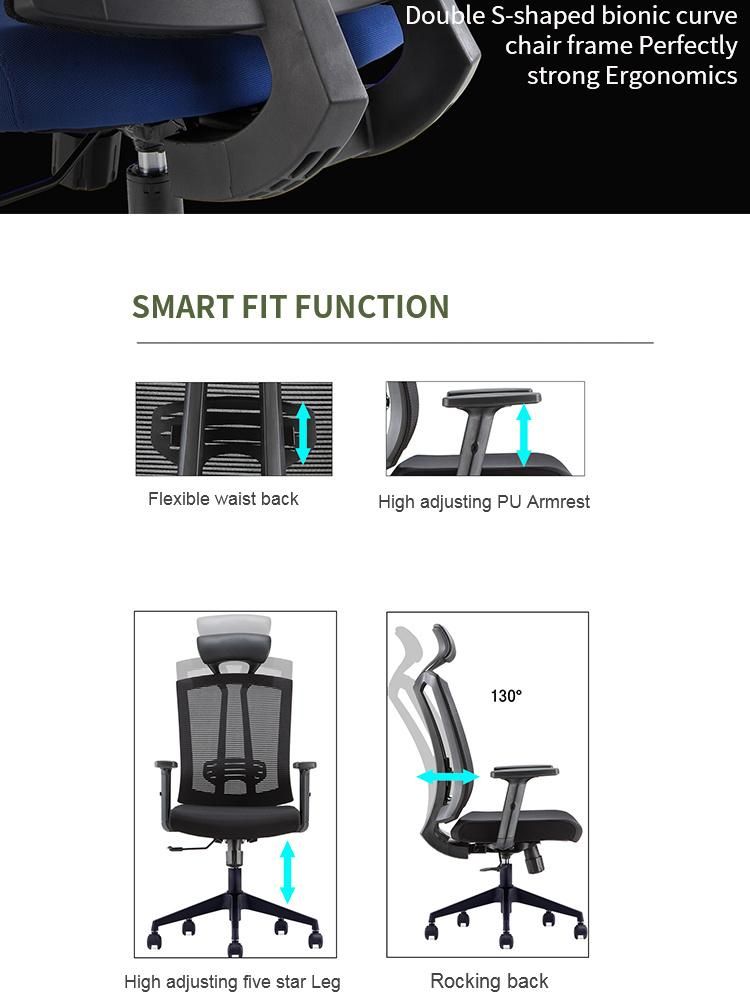 Top Quality PP Materials Modern Comfortable MID-Back Mesh Adjustable Office Chair with Headrest