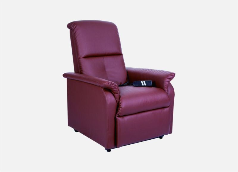 Modern Style Lift Chair with Massage (QT-LC-21)