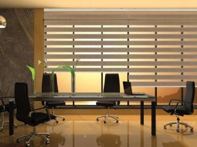 Office Curtain and Blinds Pull Beads Zebra Blind Roller Blind