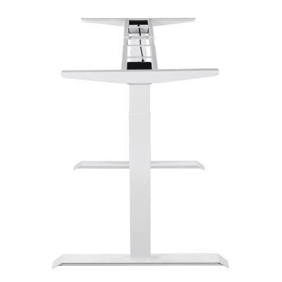Height Adjustable Dual Motor Standing Desk for Home Office Electric Sit Stand Gaming Desk