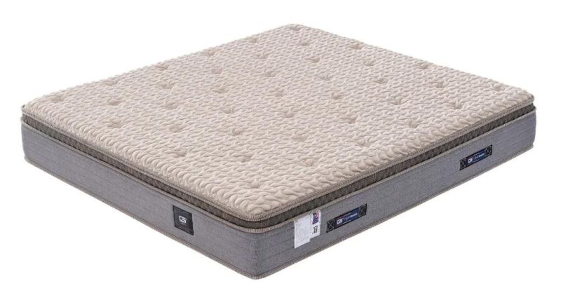 Facory Whoesale Price Spring Bedding Mattress High-Grade Knitted Surface King/Queen Size Coconut Coir High Density Foam Bed Mattresses